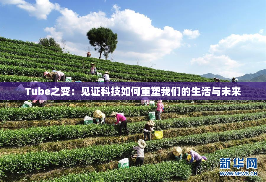 Tube之变：见证科技如何重塑我们的生活与未来