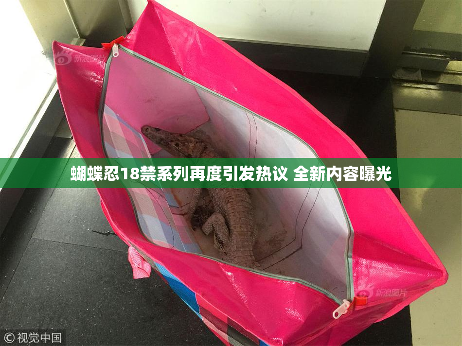 蝴蝶忍18禁系列再度引发热议 全新内容曝光