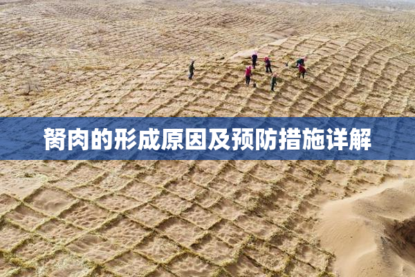 胬肉的形成原因及预防措施详解