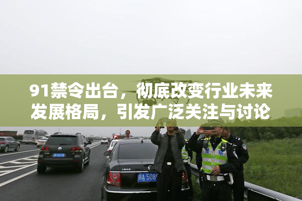 91禁令出台，彻底改变行业未来发展格局，引发广泛关注与讨论