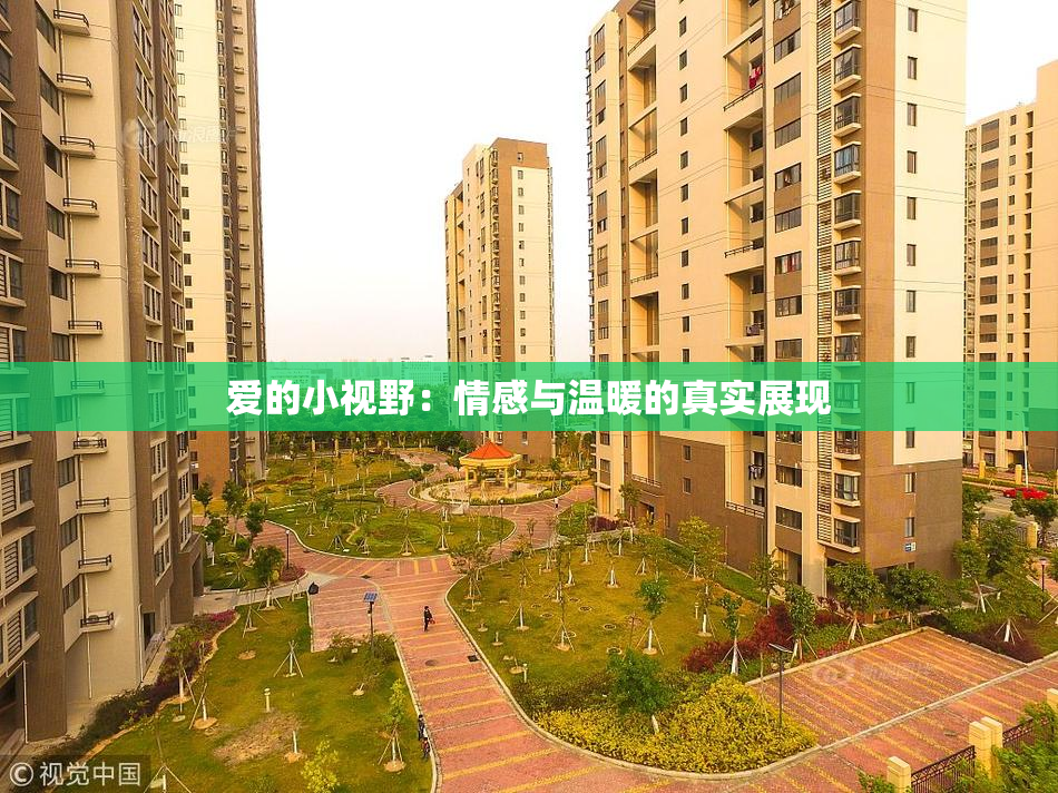 爱的小视野：情感与温暖的真实展现
