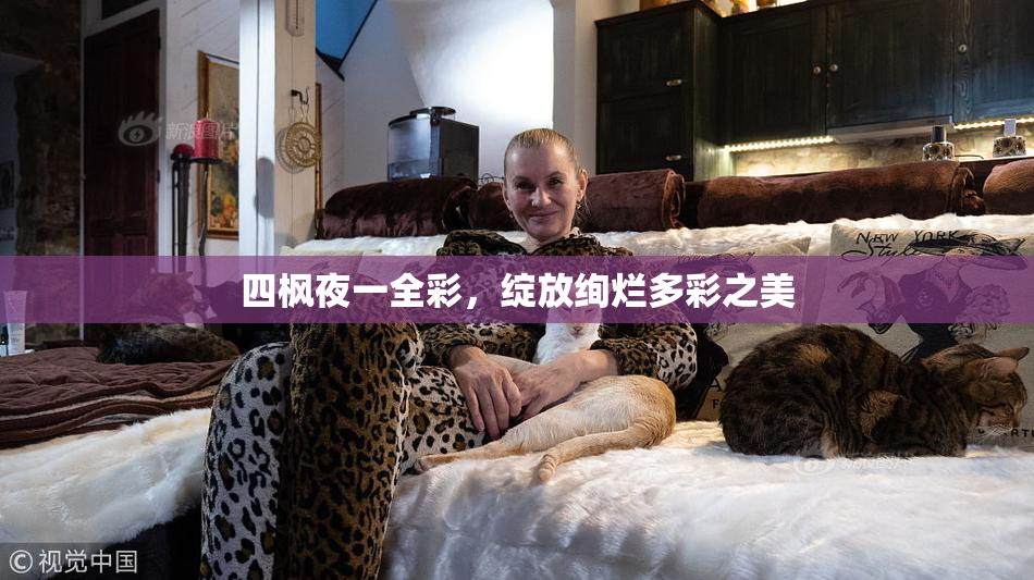 四枫夜一全彩，绽放绚烂多彩之美