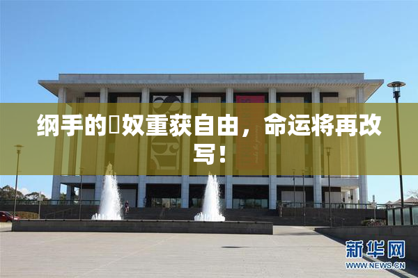 纲手的婬奴重获自由，命运将再改写！