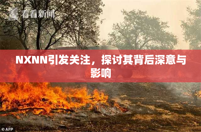 NXNN引发关注，探讨其背后深意与影响
