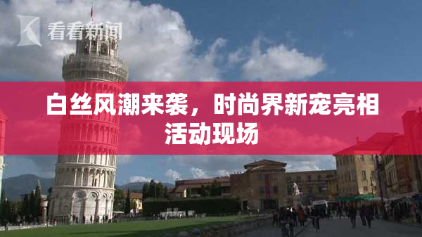 白丝风潮来袭，时尚界新宠亮相活动现场