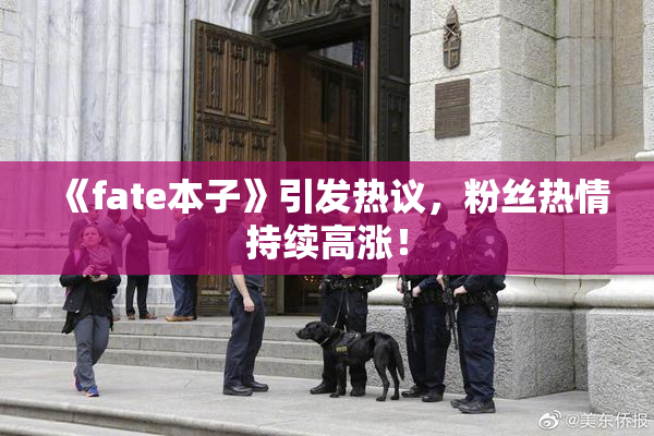 《fate本子》引发热议，粉丝热情持续高涨！