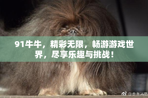 91牛牛，精彩无限，畅游游戏世界，尽享乐趣与挑战！