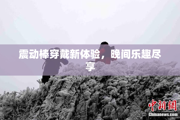 震动棒穿戴新体验，晚间乐趣尽享