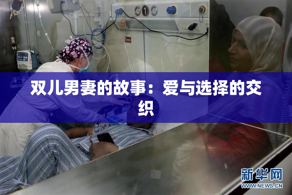 双儿男妻的故事：爱与选择的交织