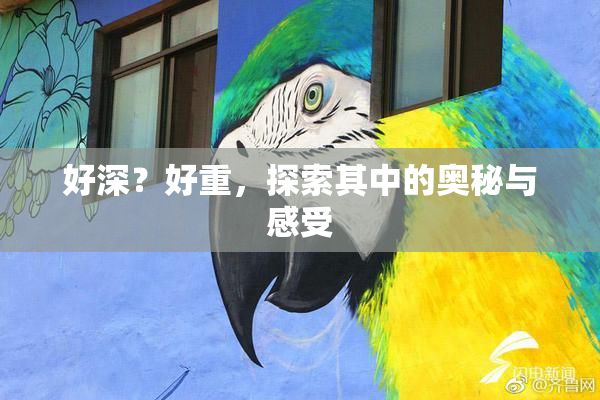 好深？好重，探索其中的奥秘与感受