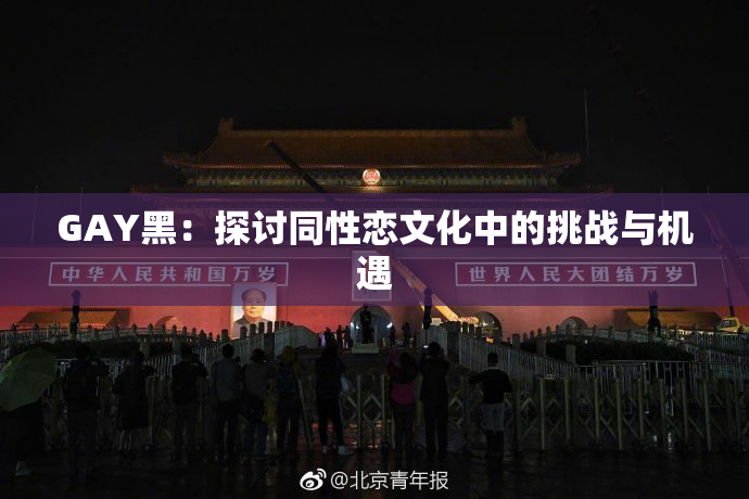 GAY黑：探讨同性恋文化中的挑战与机遇