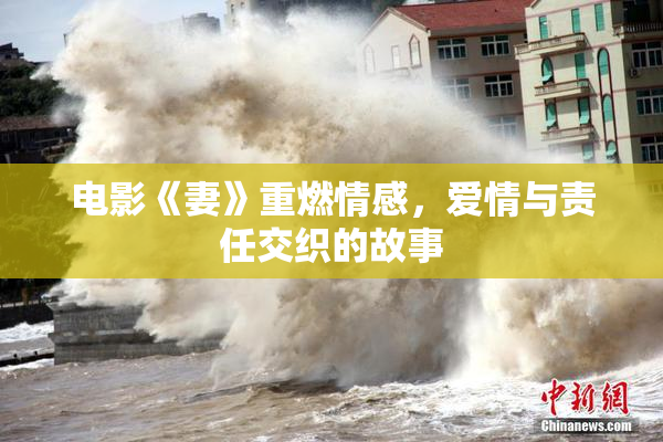 电影《妻》重燃情感，爱情与责任交织的故事