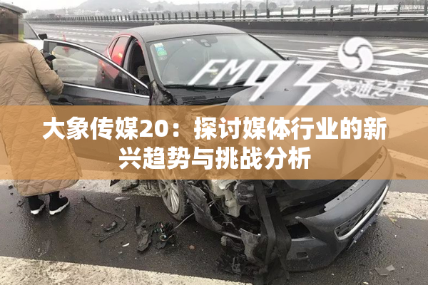 大象传媒20：探讨媒体行业的新兴趋势与挑战分析