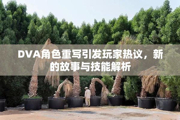 DVA角色重写引发玩家热议，新的故事与技能解析