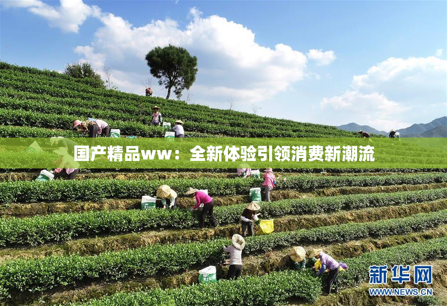 国产精品ww：全新体验引领消费新潮流