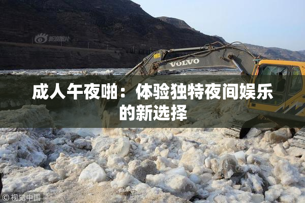 成人午夜啪：体验独特夜间娱乐的新选择