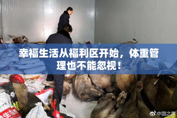 幸福生活从福利区开始，体重管理也不能忽视！