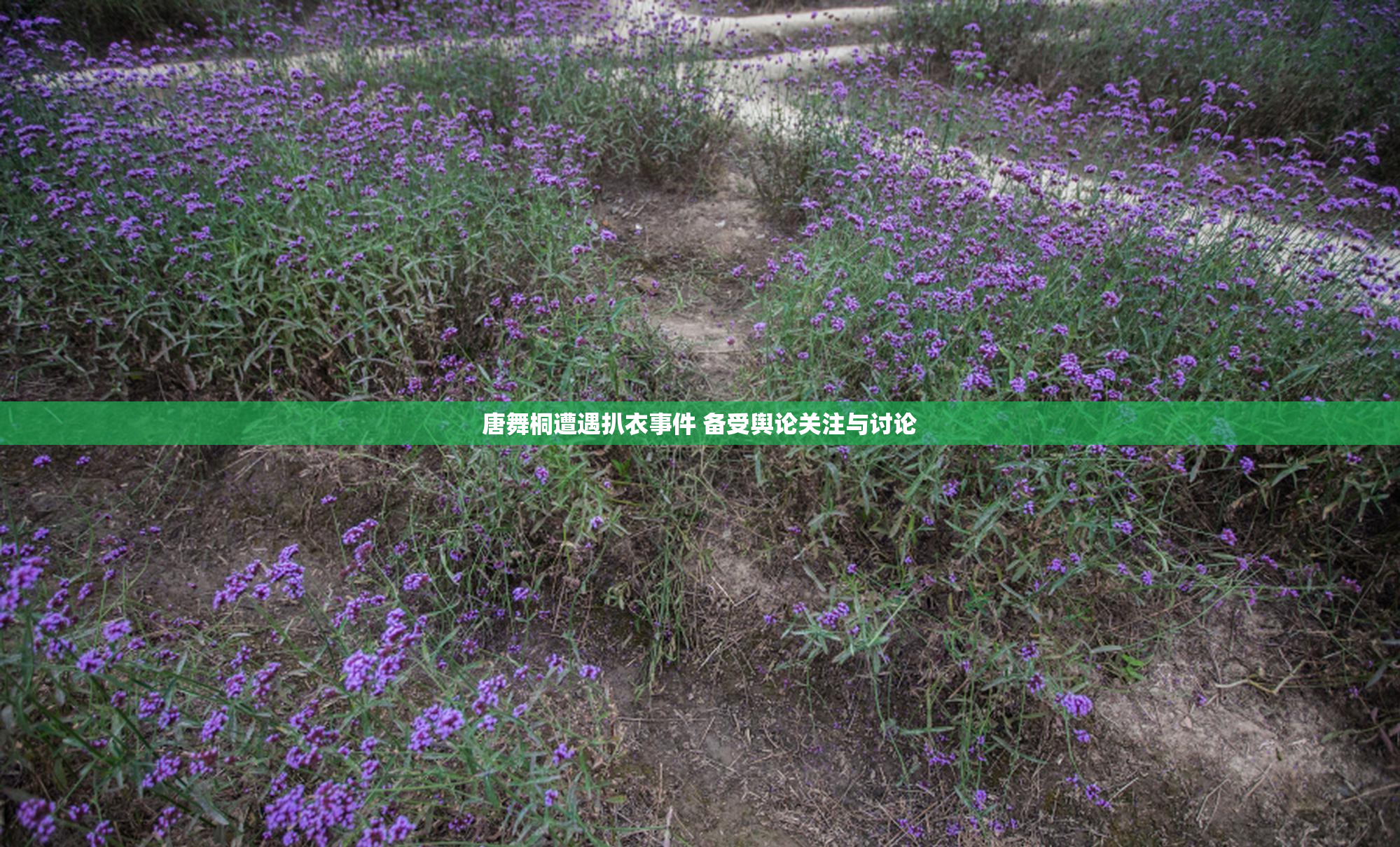 唐舞桐遭遇扒衣事件 备受舆论关注与讨论