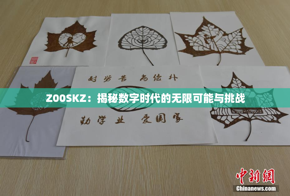 Z00SKZ：揭秘数字时代的无限可能与挑战