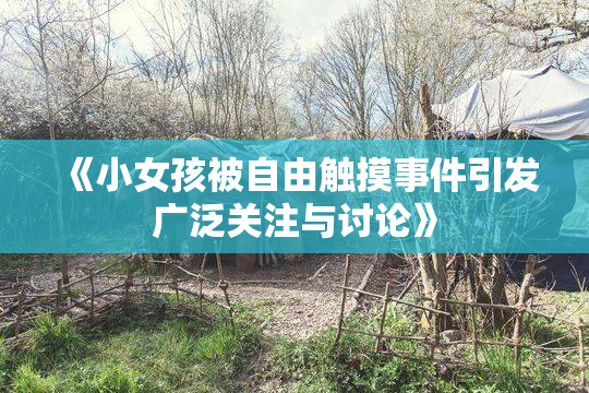 《小女孩被自由触摸事件引发广泛关注与讨论》