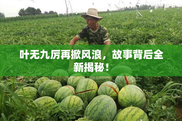叶无九厉再掀风浪，故事背后全新揭秘！