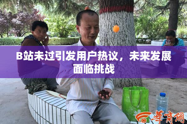 B站未过引发用户热议，未来发展面临挑战