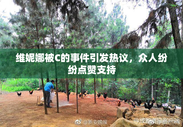 维妮娜被C的事件引发热议，众人纷纷点赞支持