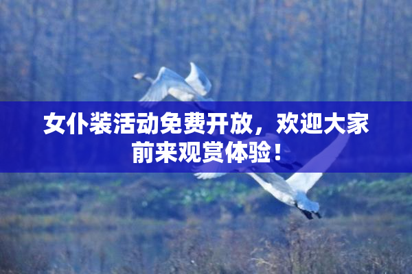 女仆装活动免费开放，欢迎大家前来观赏体验！