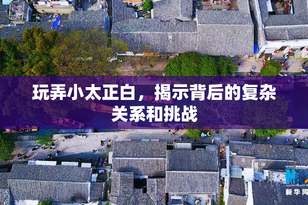 玩弄小太正白，揭示背后的复杂关系和挑战