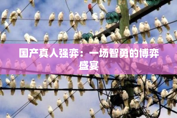 国产真人强弈：一场智勇的博弈盛宴
