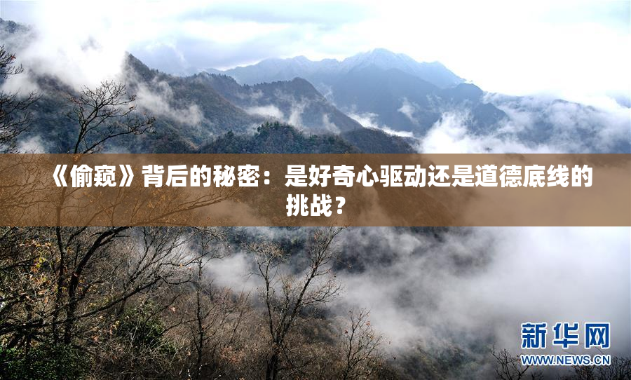 《偷窥》背后的秘密：是好奇心驱动还是道德底线的挑战？