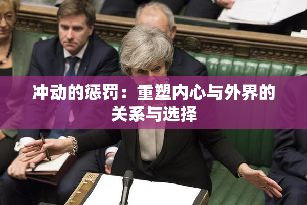 冲动的惩罚：重塑内心与外界的关系与选择