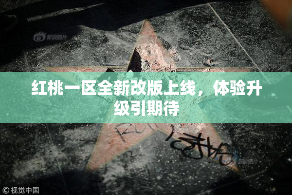 红桃一区全新改版上线，体验升级引期待