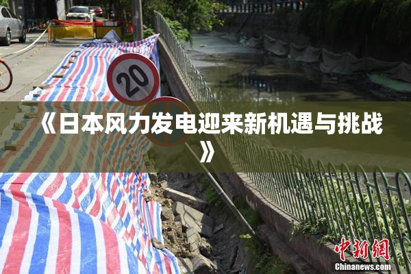 《日本风力发电迎来新机遇与挑战》