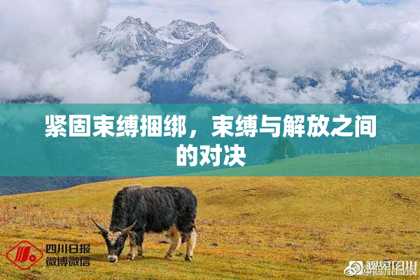 紧固束缚捆绑，束缚与解放之间的对决