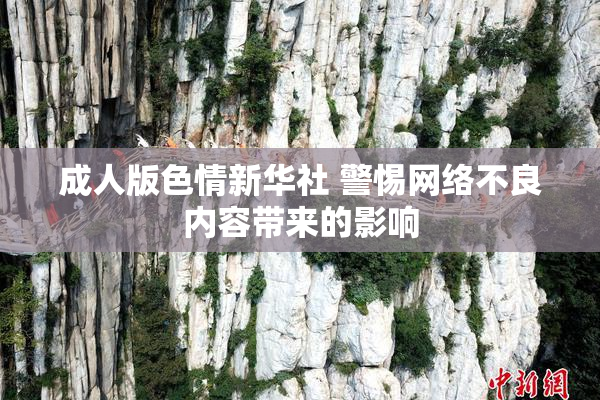 成人版色情新华社 警惕网络不良内容带来的影响