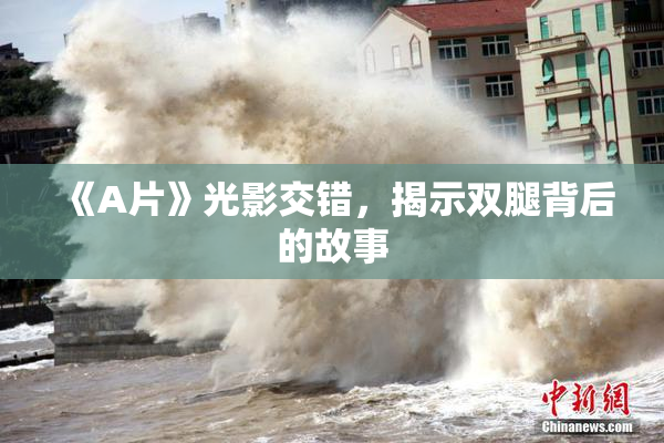 《A片》光影交错，揭示双腿背后的故事