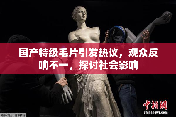 国产特级毛片引发热议，观众反响不一，探讨社会影响