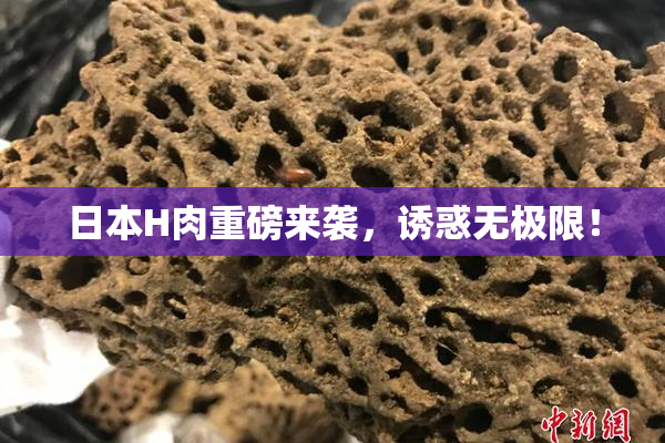 日本H肉重磅来袭，诱惑无极限！