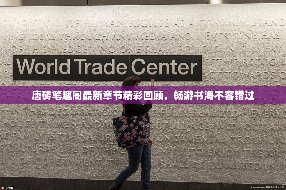 唐砖笔趣阁最新章节精彩回顾，畅游书海不容错过