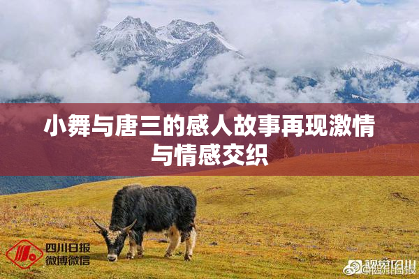 小舞与唐三的感人故事再现激情与情感交织