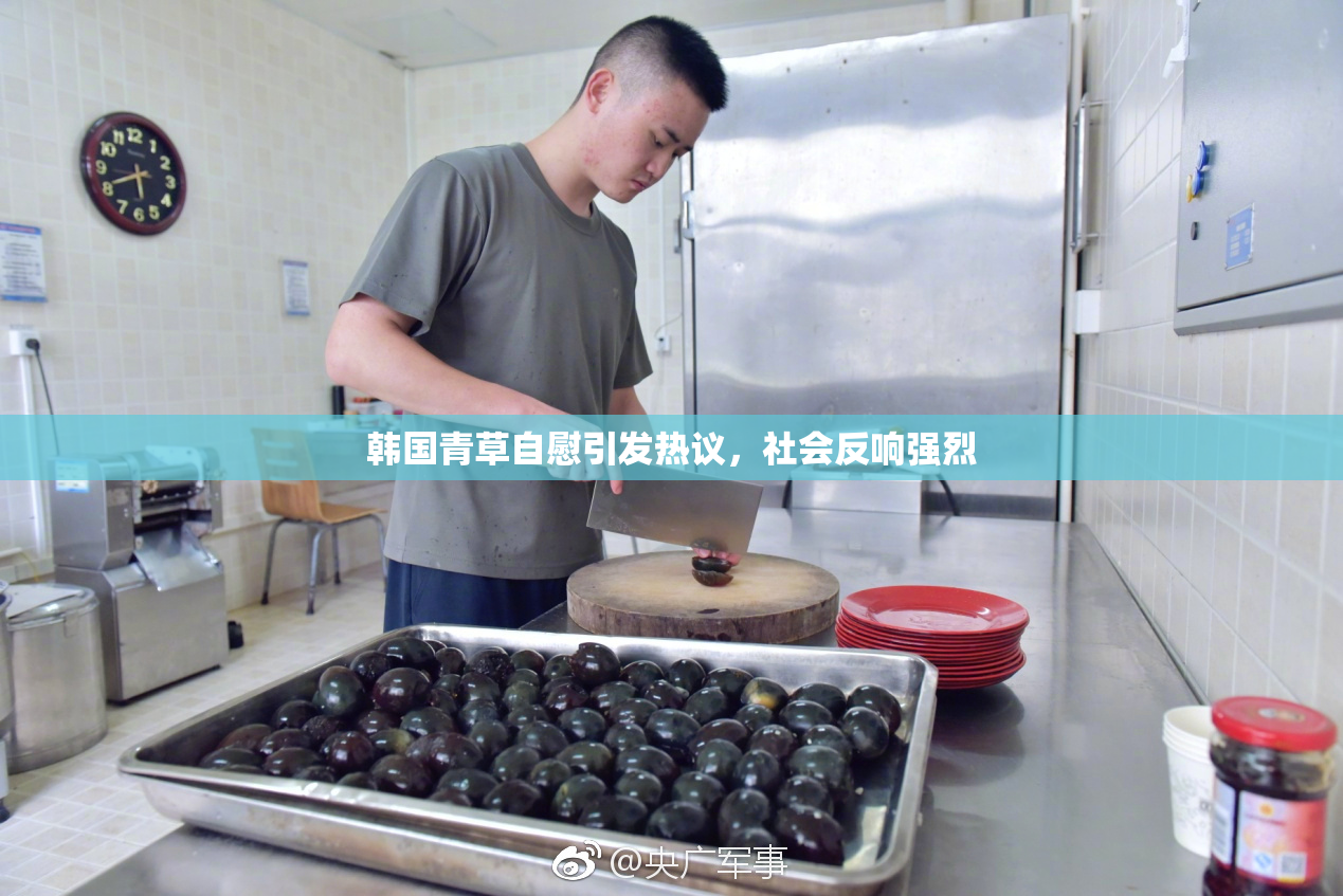 韩国青草自慰引发热议，社会反响强烈