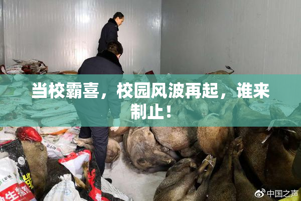 当校霸喜，校园风波再起，谁来制止！
