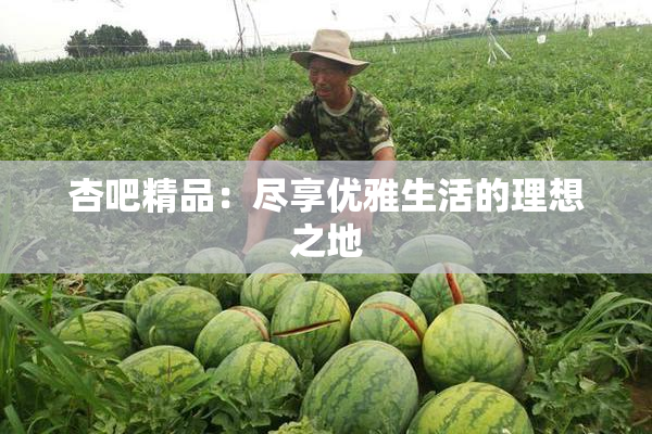杏吧精品：尽享优雅生活的理想之地