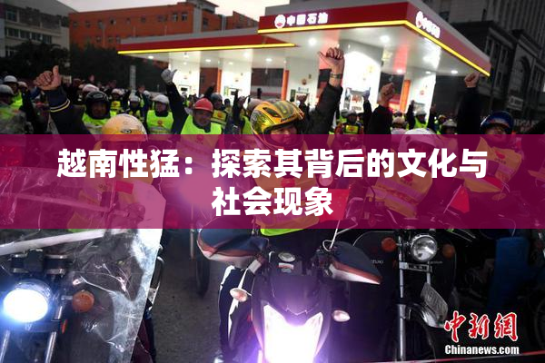 越南性猛：探索其背后的文化与社会现象