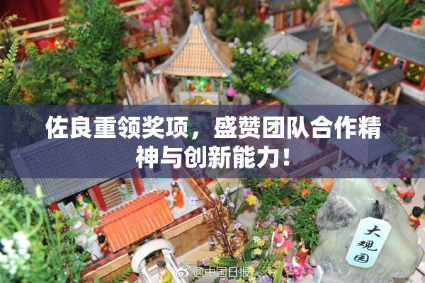佐良重领奖项，盛赞团队合作精神与创新能力！