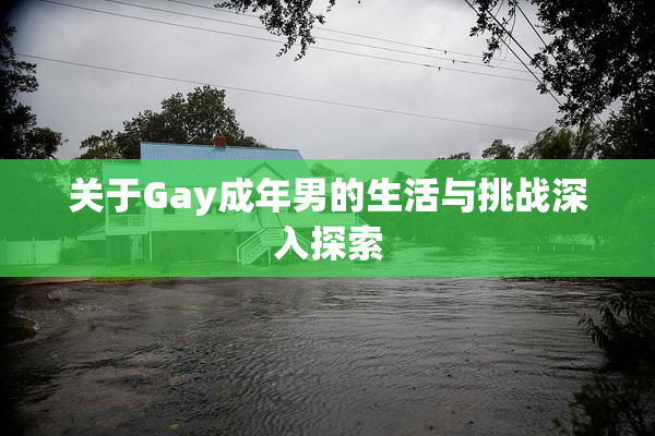 关于Gay成年男的生活与挑战深入探索
