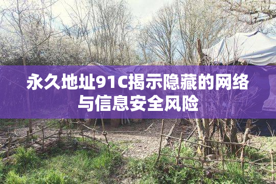 永久地址91C揭示隐藏的网络与信息安全风险