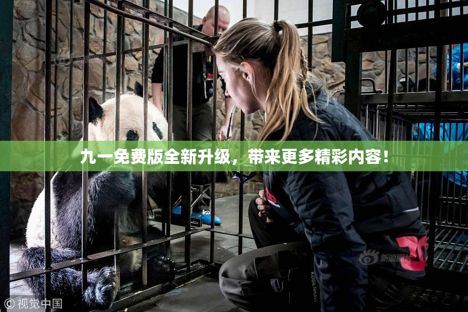 九一免费版全新升级，带来更多精彩内容！