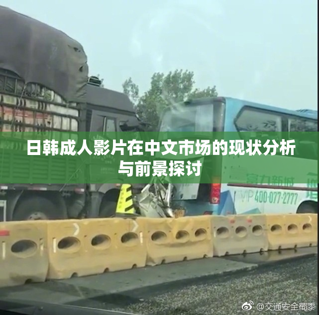 日韩成人影片在中文市场的现状分析与前景探讨